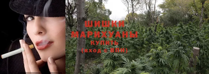 Бошки марихуана OG Kush  Вытегра 